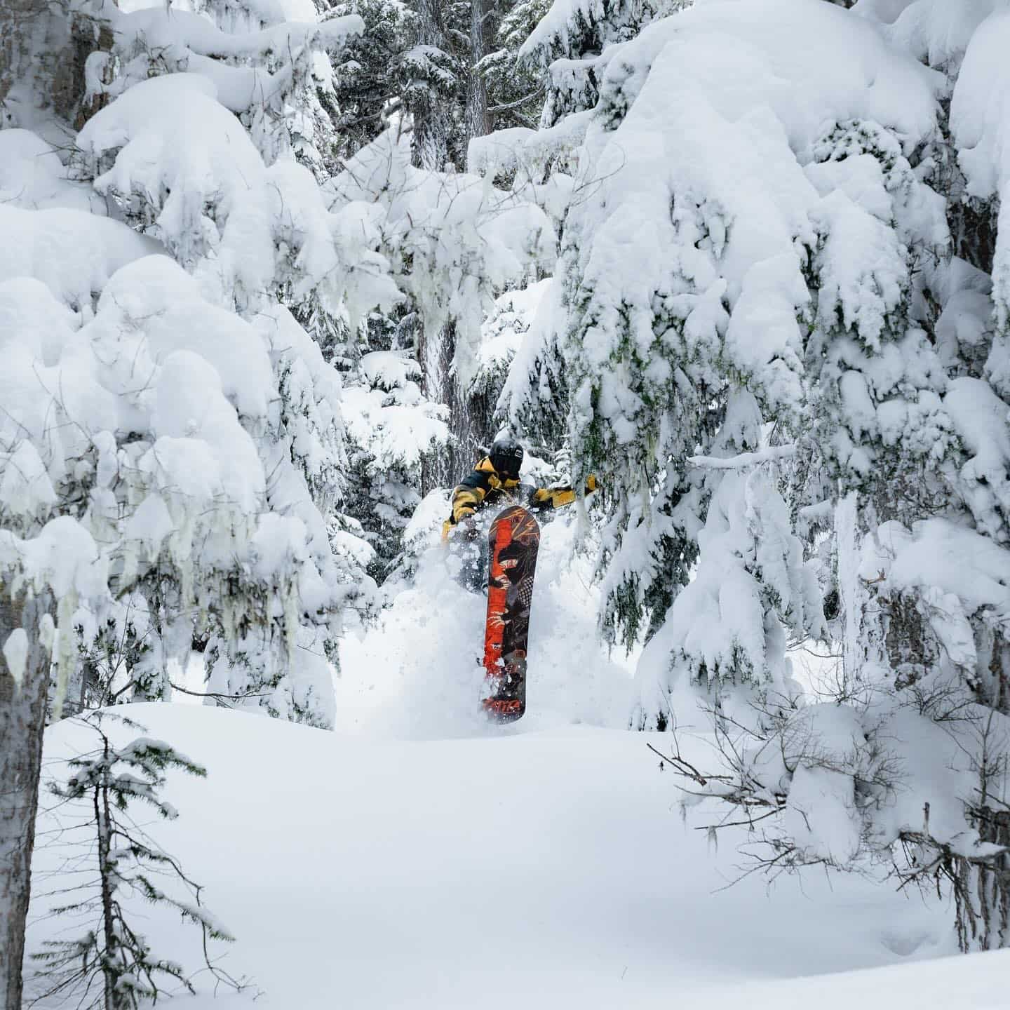 winter Whistler Canada