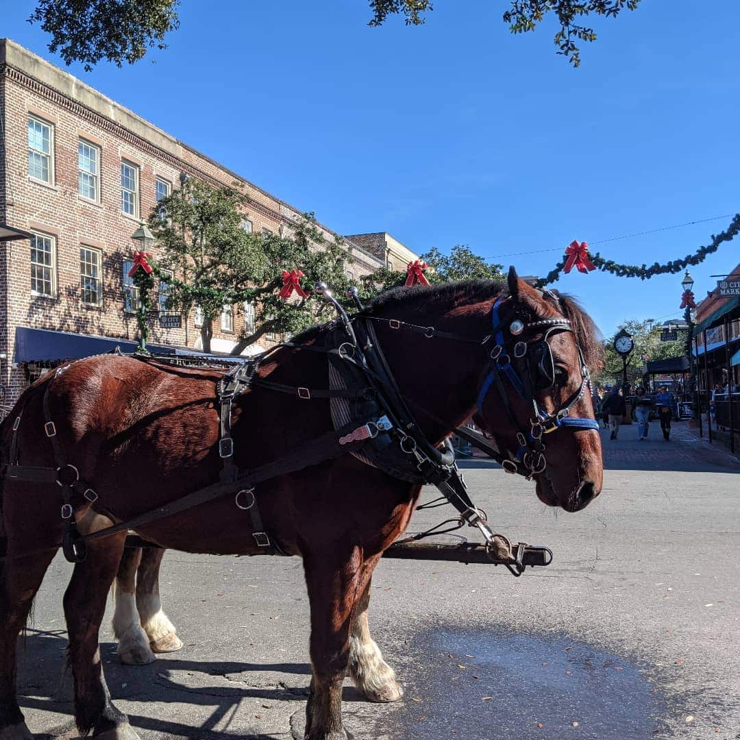 City Market, Savannah, Georgia