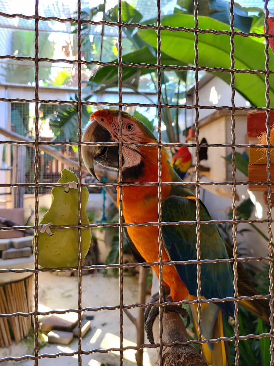 Isla Verde, San Juan Isla Verde, San Juan