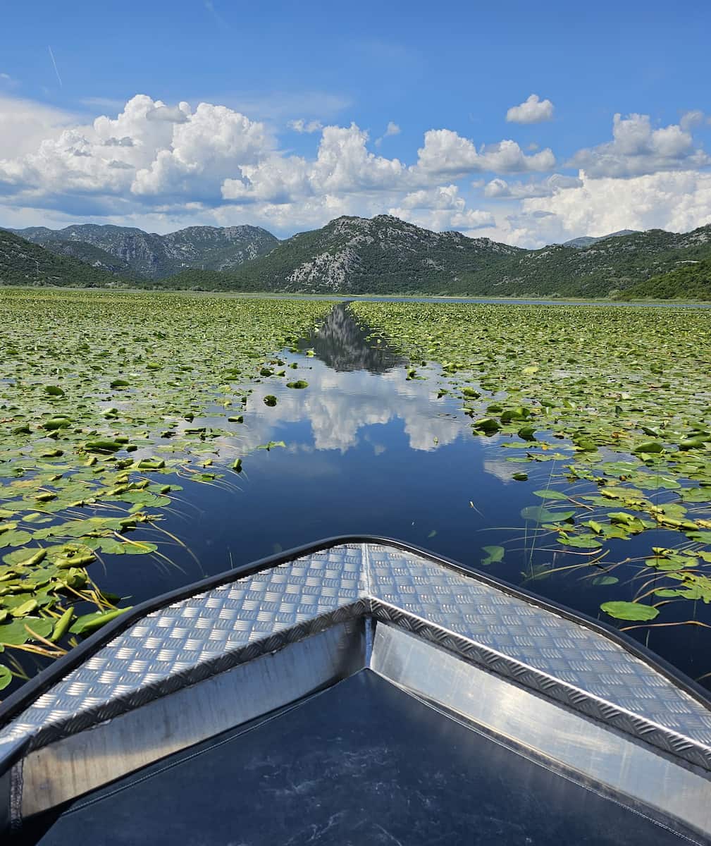 Lake Skadar, Montenegro Lake Skadar, Montenegro