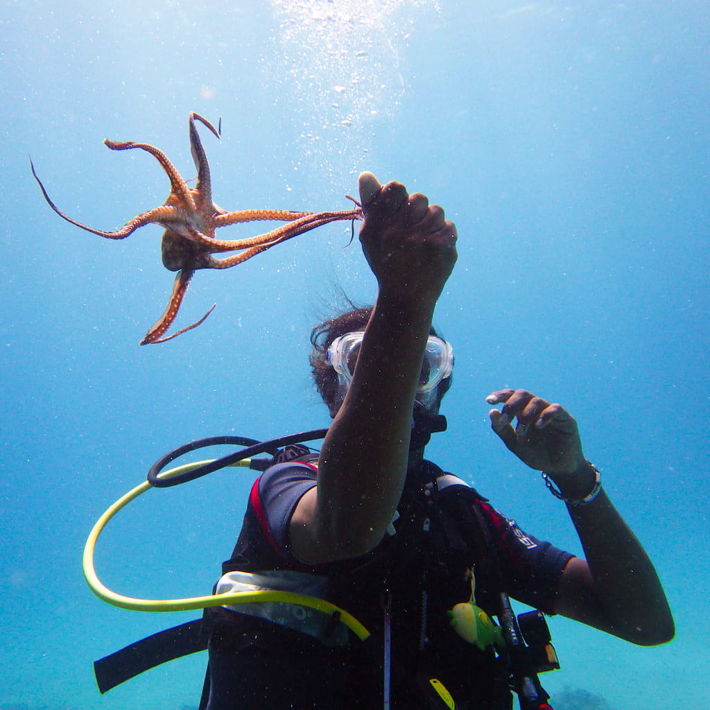 Le Morne, Mauritius Le Morne, Mauritius