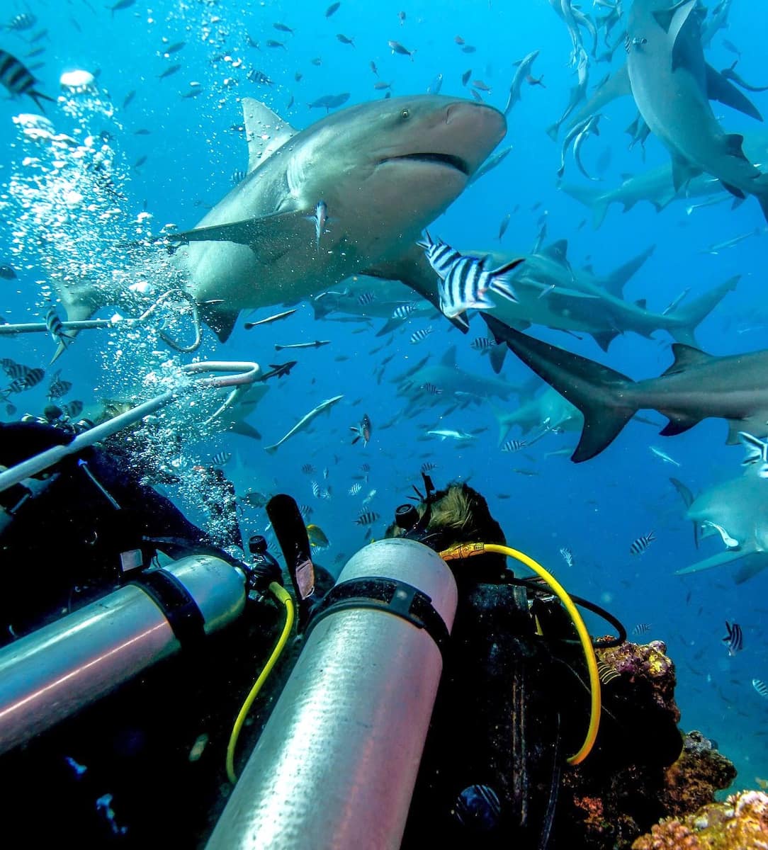 Pacific Harbour, Fiji Pacific Harbour, Fiji