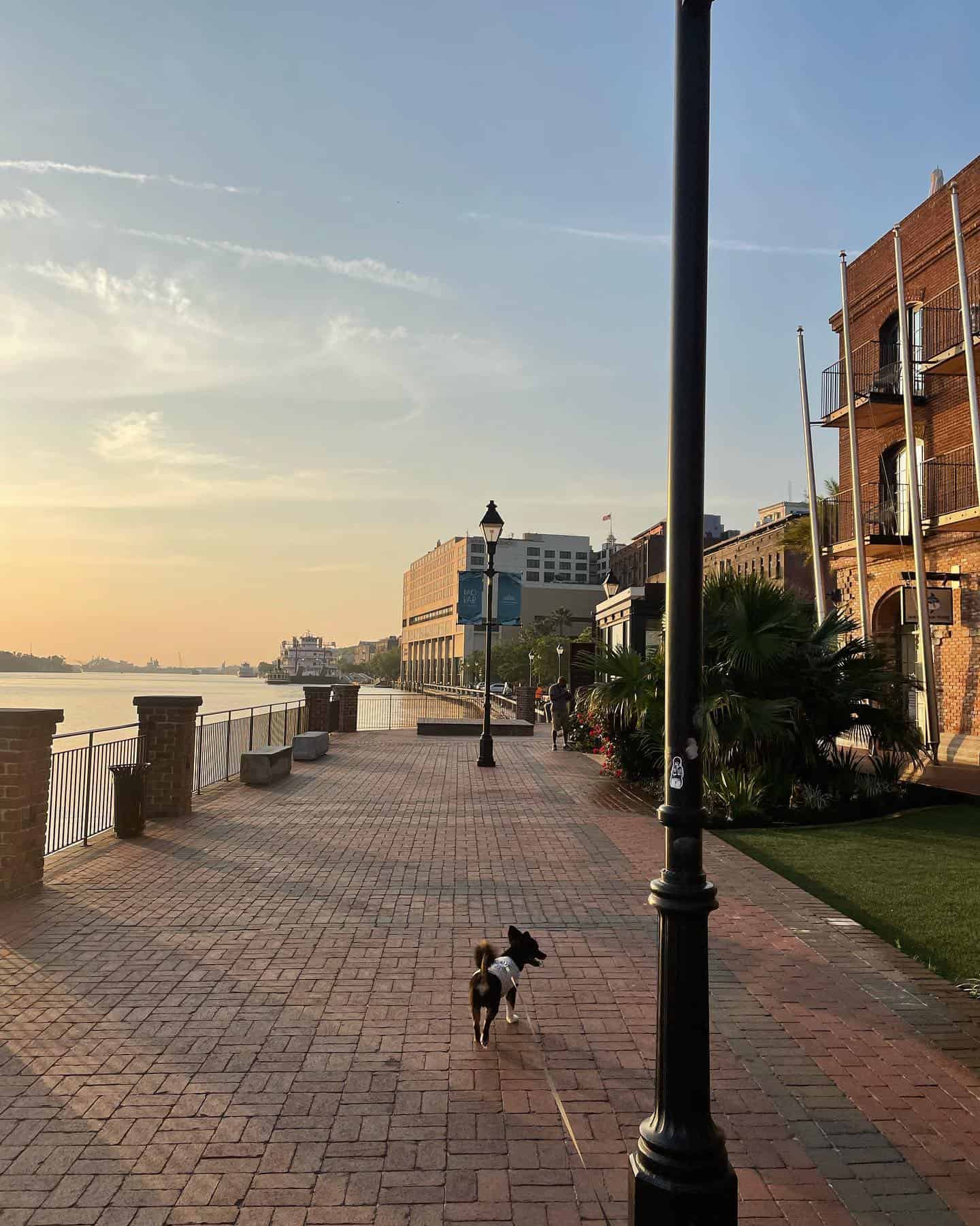 River Street & Waterfront, Savannah, Georgia