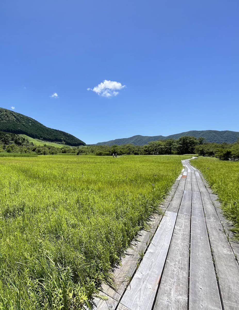 Sengokuhara Area Sengokuhara Area