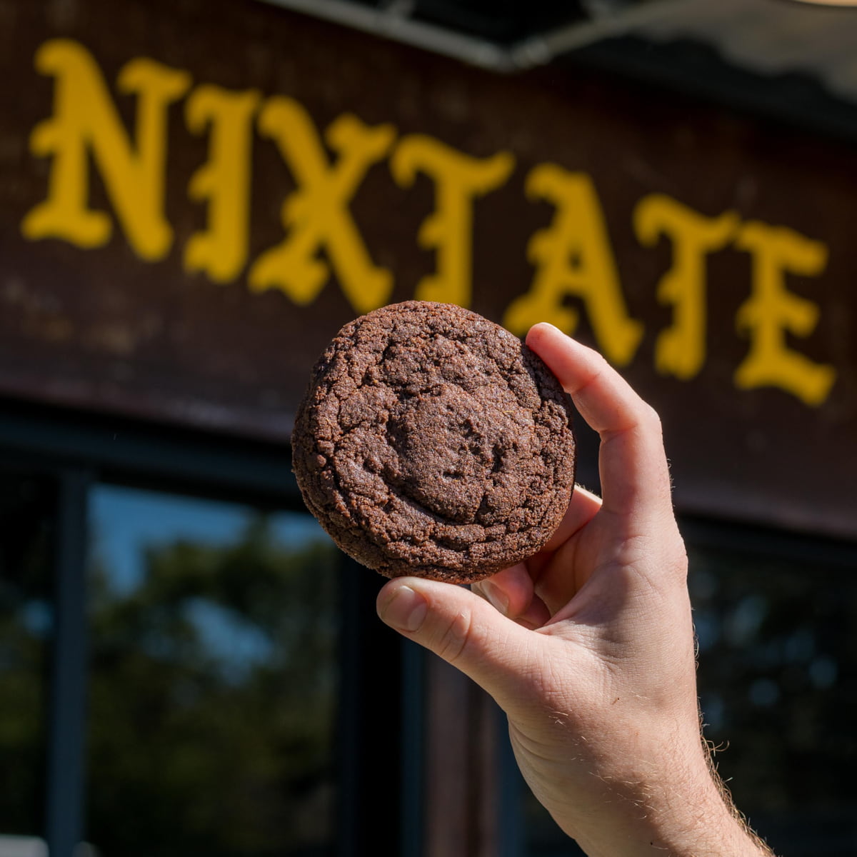 Starland District, Savannah, Georgia