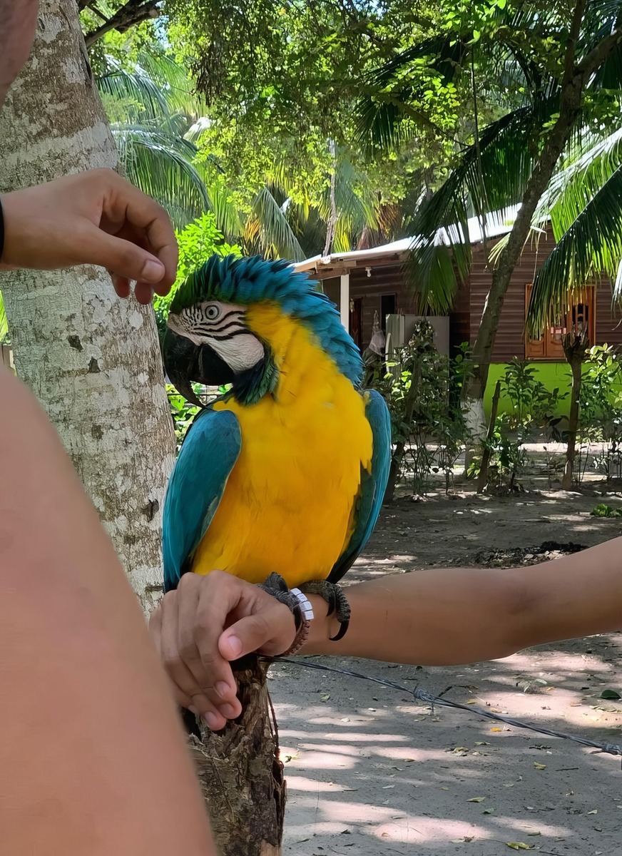 The Rosario Islands The Rosario Islands