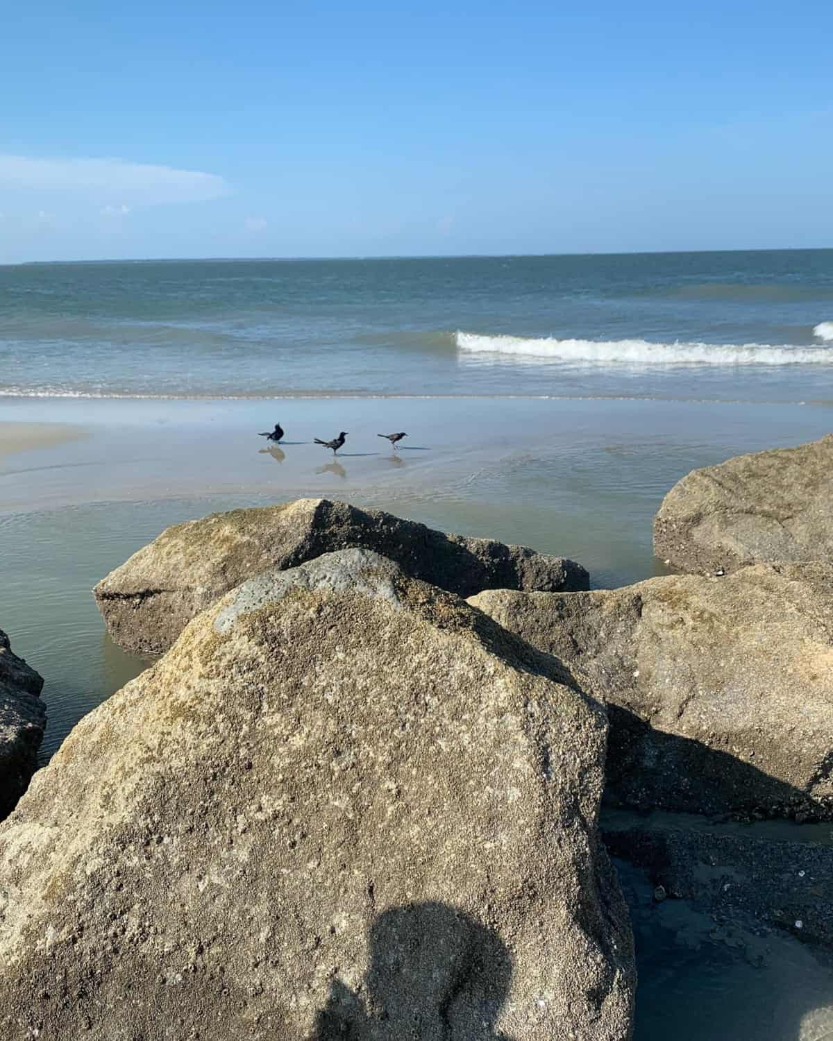 Tybee Island, Savannah, Georgia