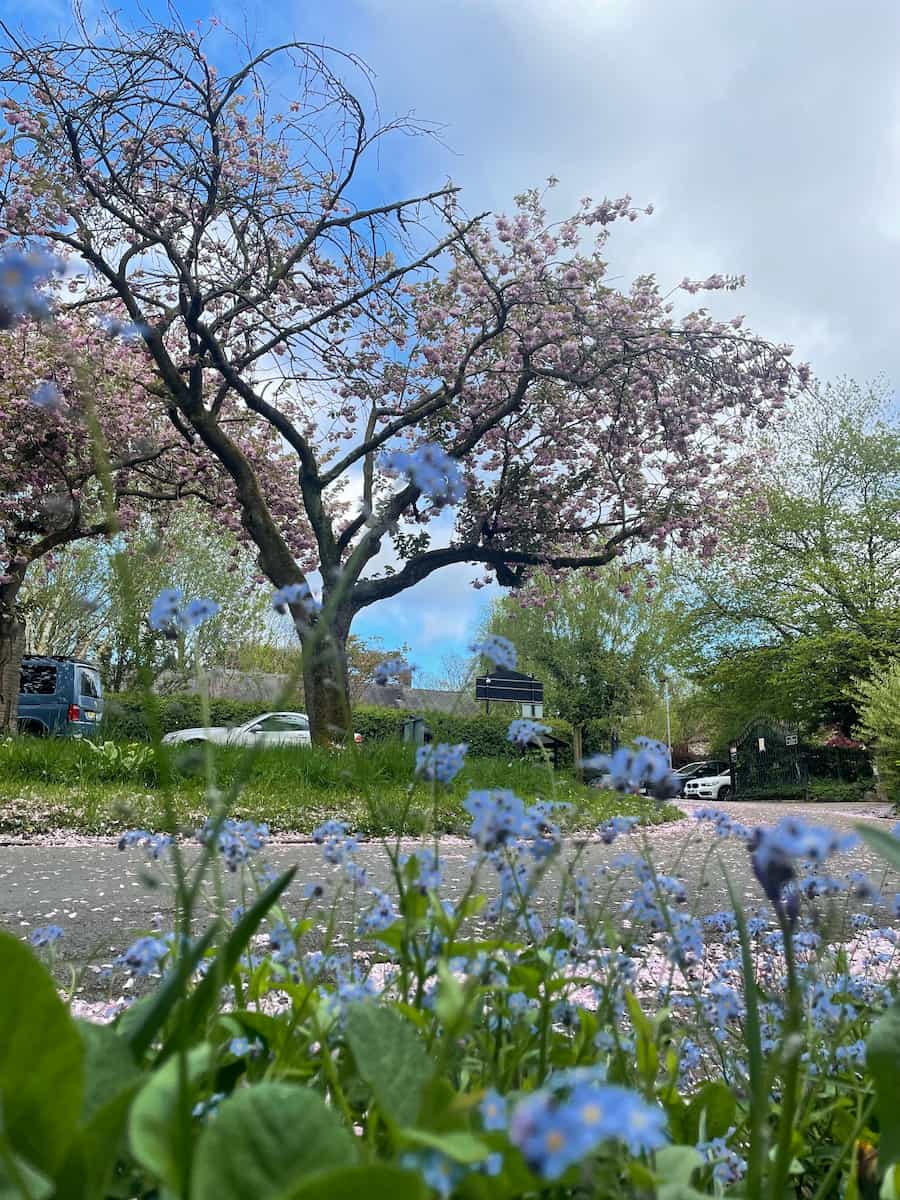 Fletcher Moss Park & Botanical Gardens Fletcher Moss Park & Botanical Gardens