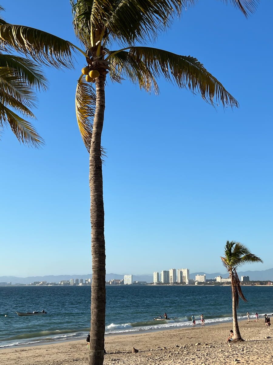 5 de Diciembre, Puerto Vallarta 5 de Diciembre, Puerto Vallarta