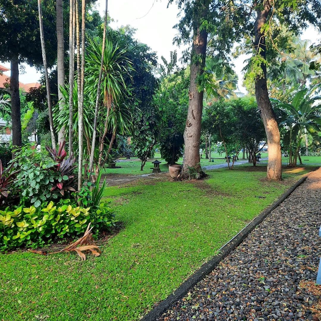 Bingin Beach Bingin Beach