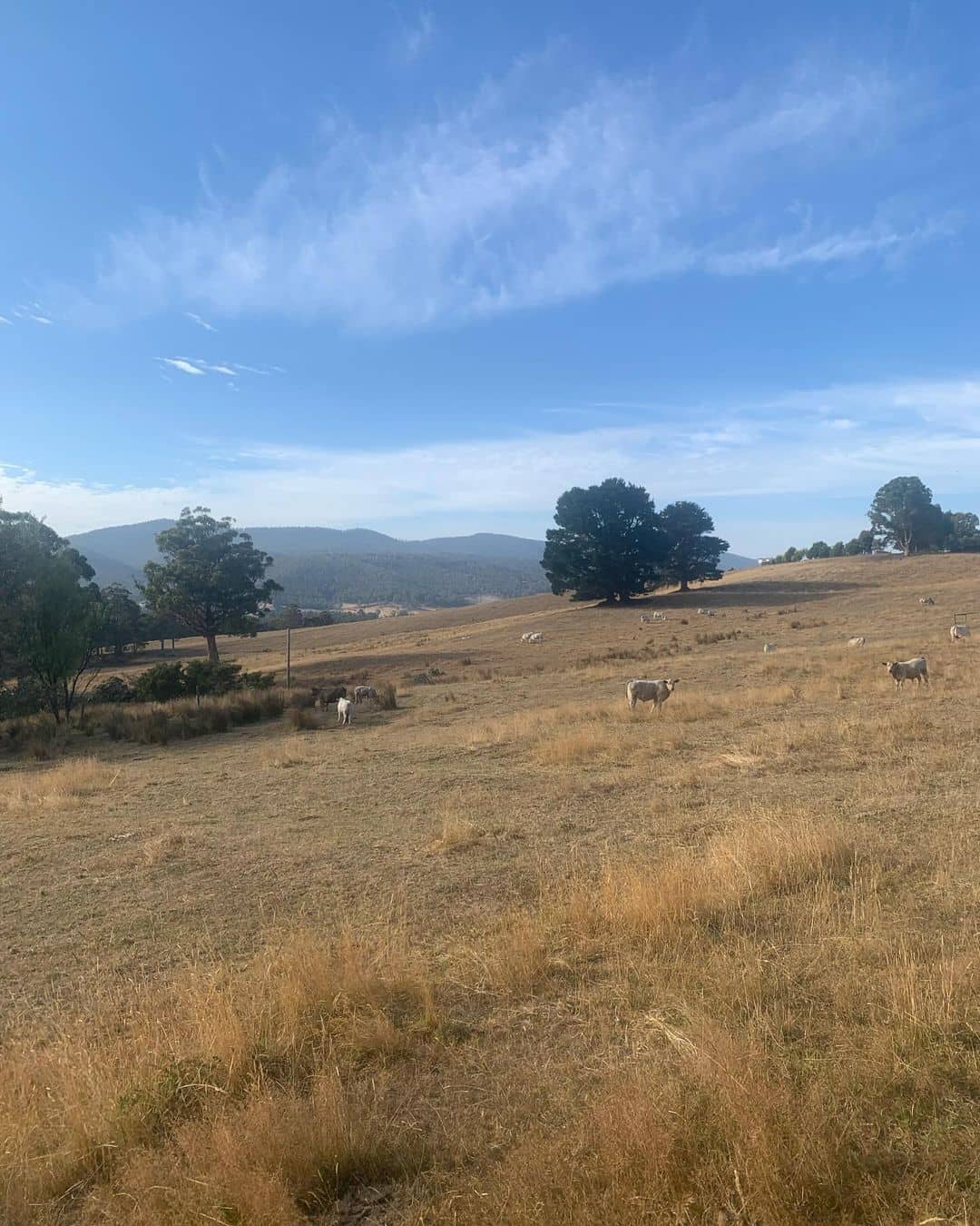 Huon Valley