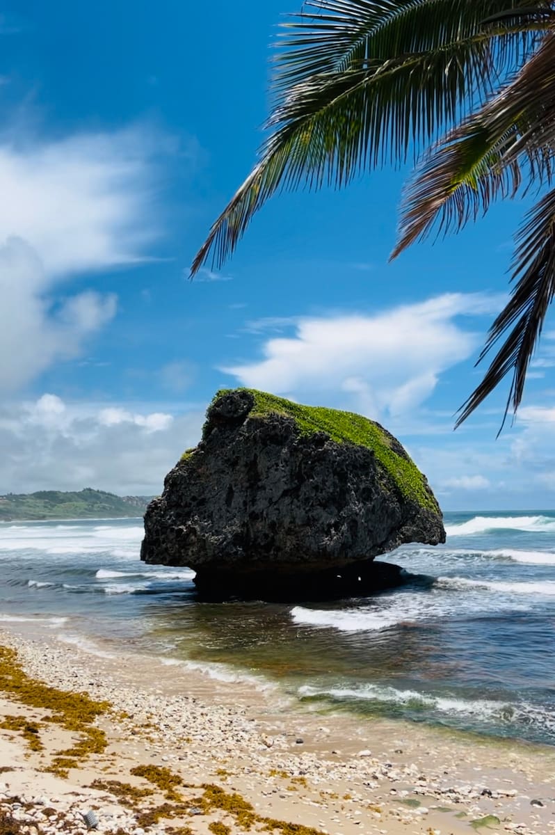 North Coast, Barbados North Coast, Barbados