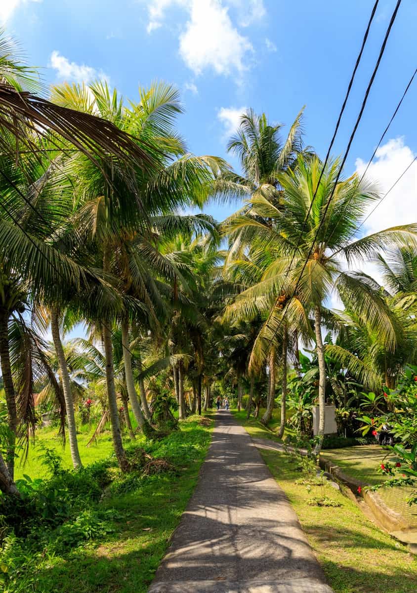 Penestanan, Ubud Penestanan, Ubud