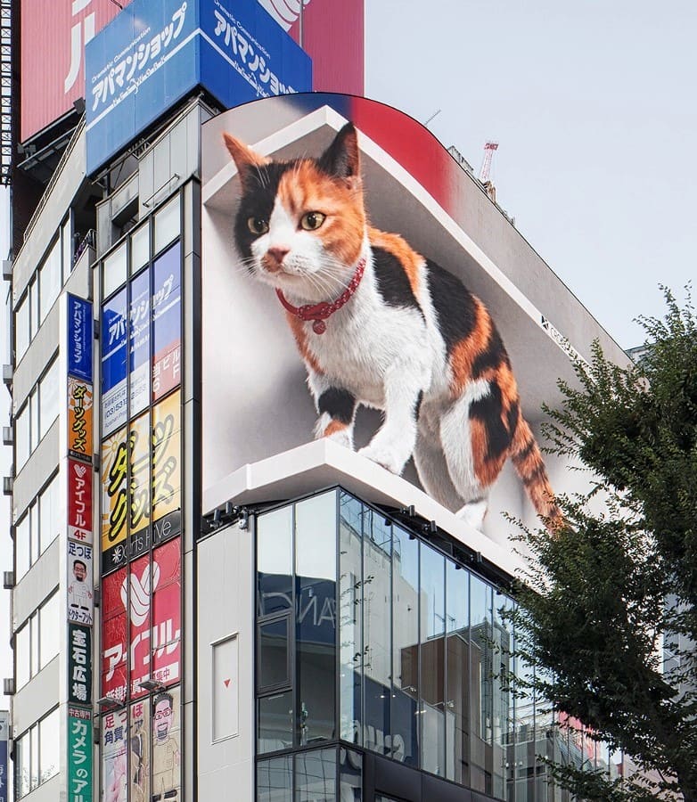 Central Shinjuku, Tokyo Central Shinjuku, Tokyo