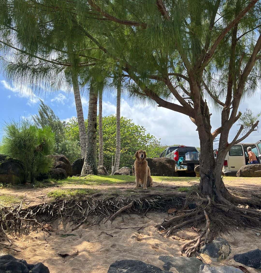 Hanalei, Kauai Hanalei, Kauai