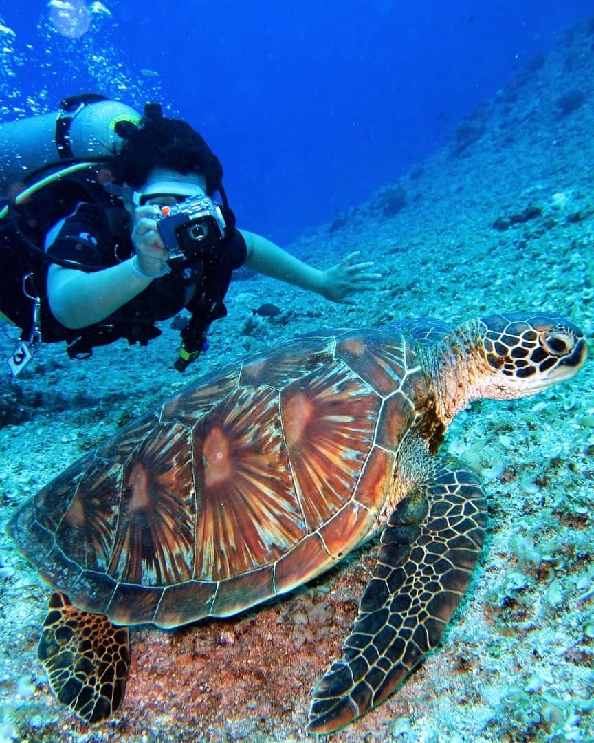 Scuba diving, West Coast Beaches, Antigua Scuba diving, West Coast Beaches, Antigua