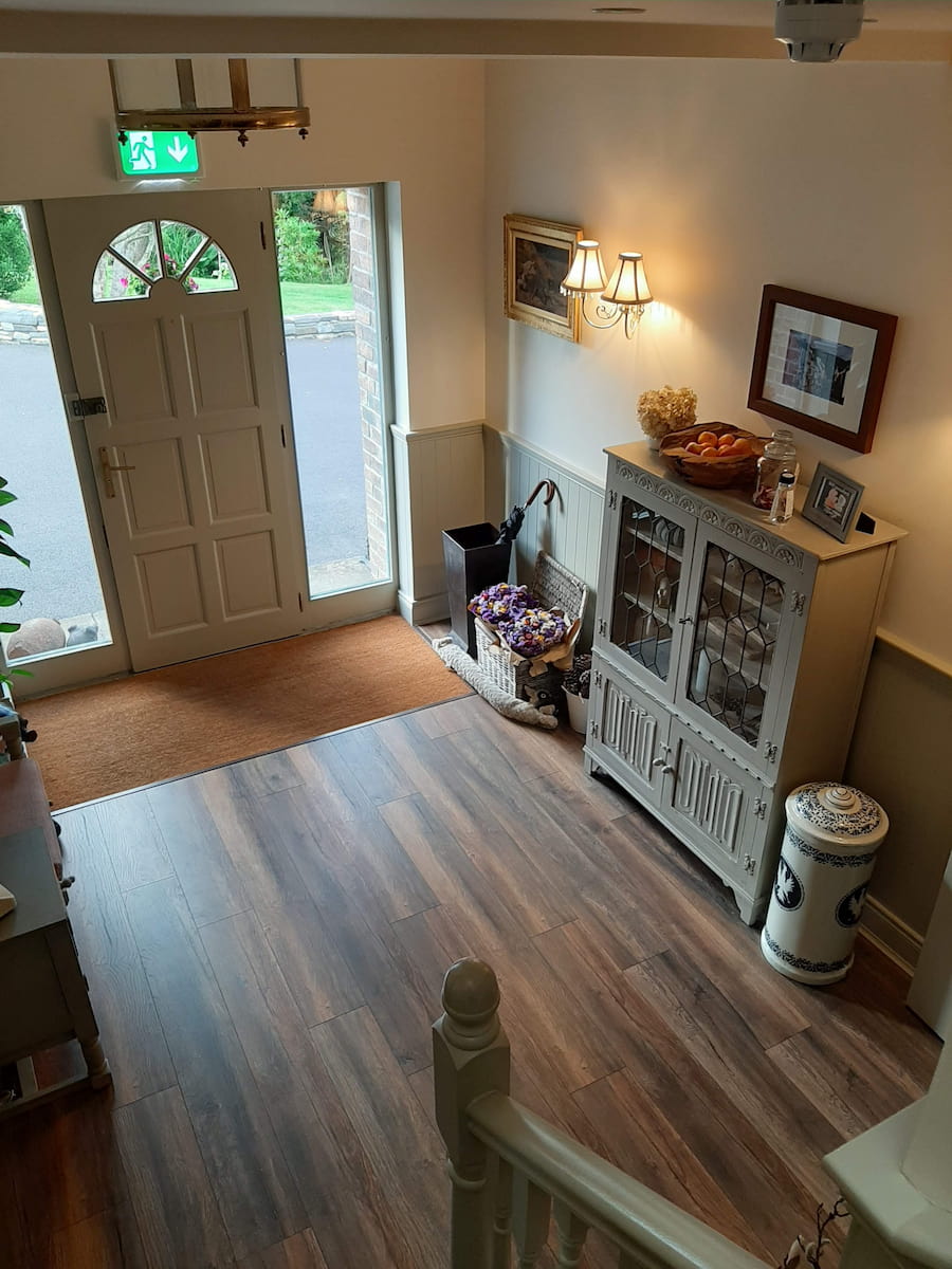 The Happy Pig The Happy Pig