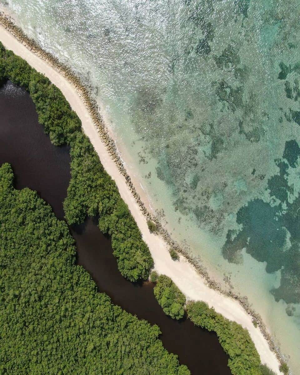 Botanical Garden Botanical Garden