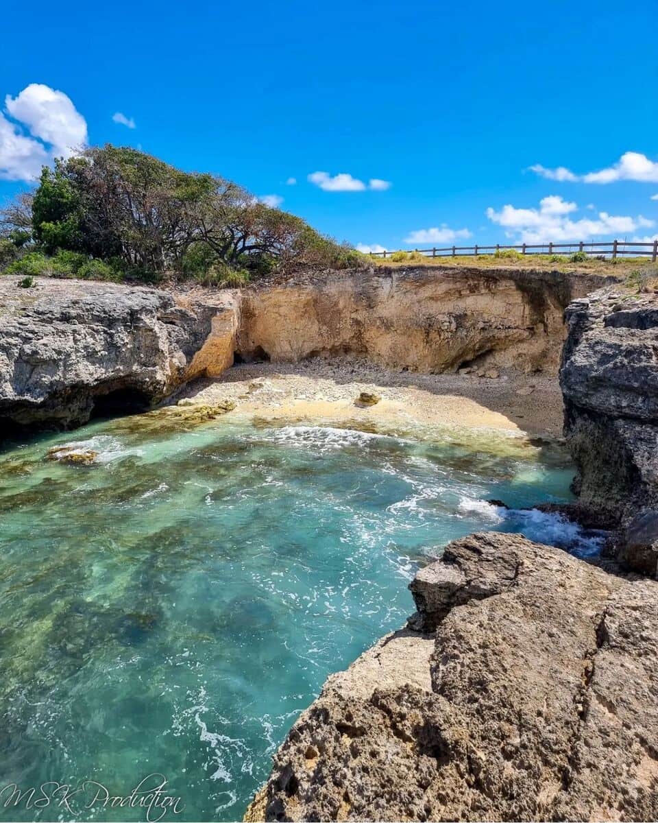 Botanical Garden Botanical Garden