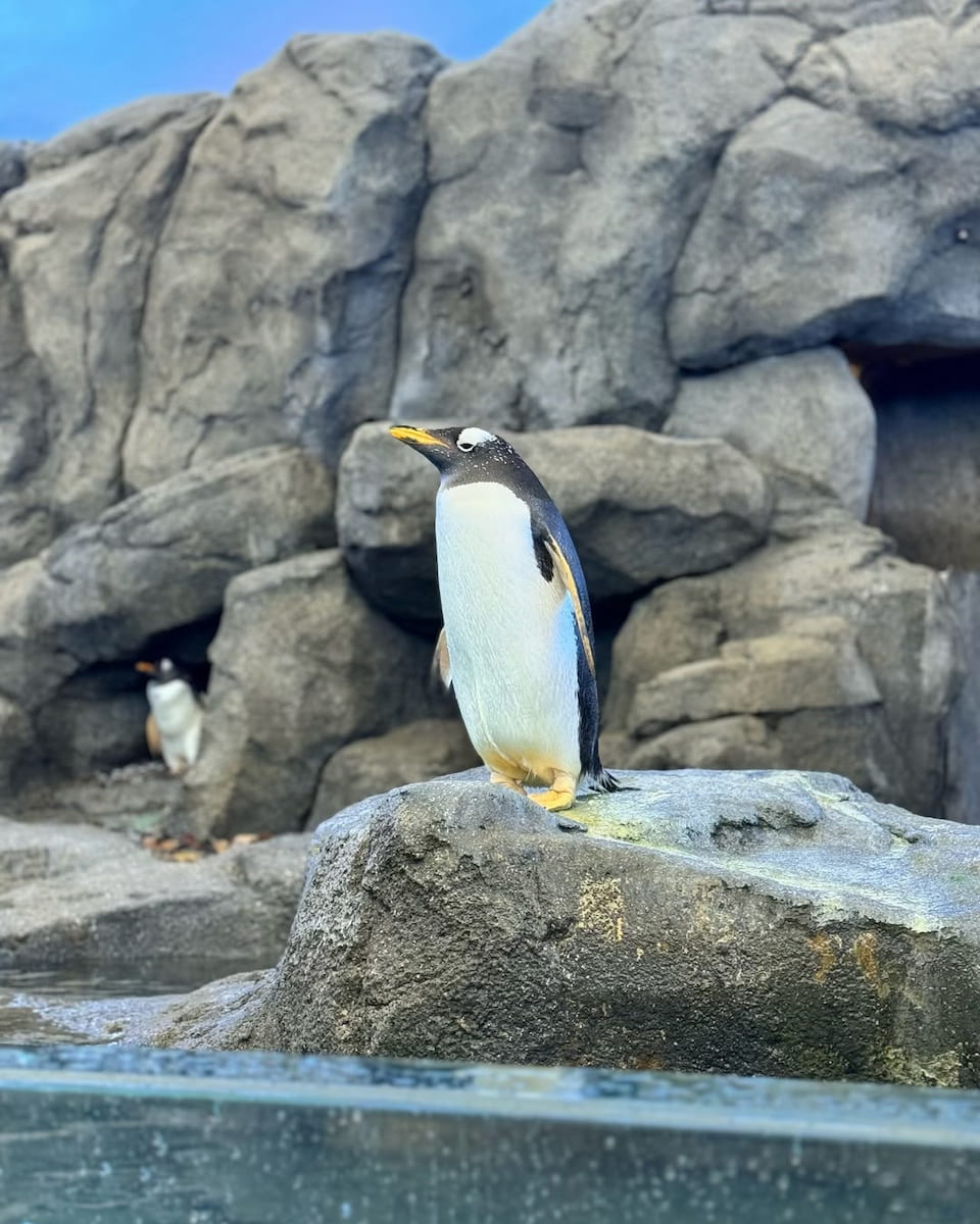 Calgary Zoo Calgary Zoo