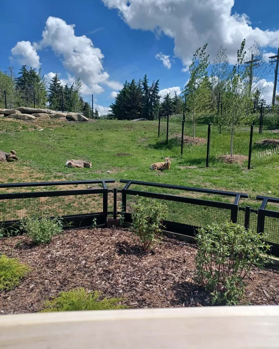 Calgary Zoo Calgary Zoo