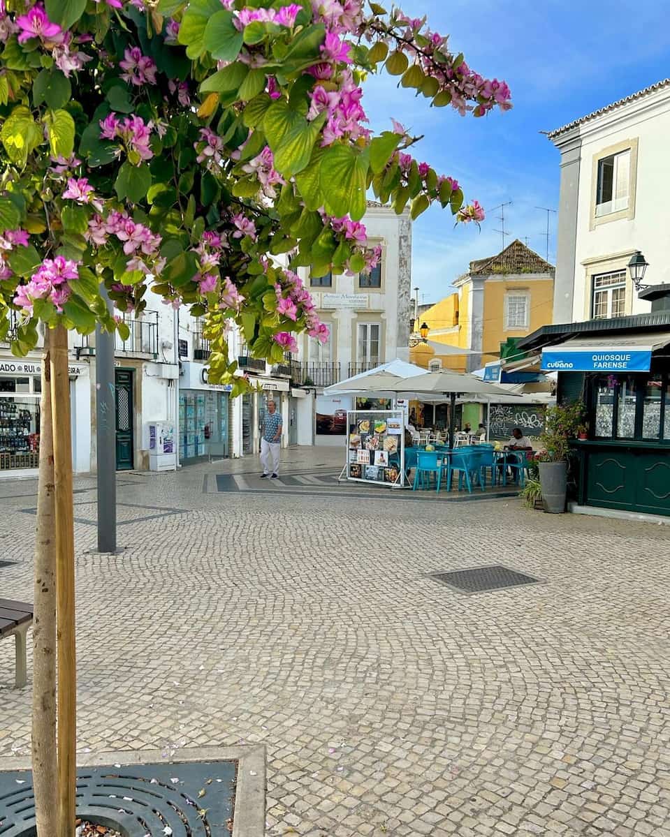 Downtown Faro Downtown Faro