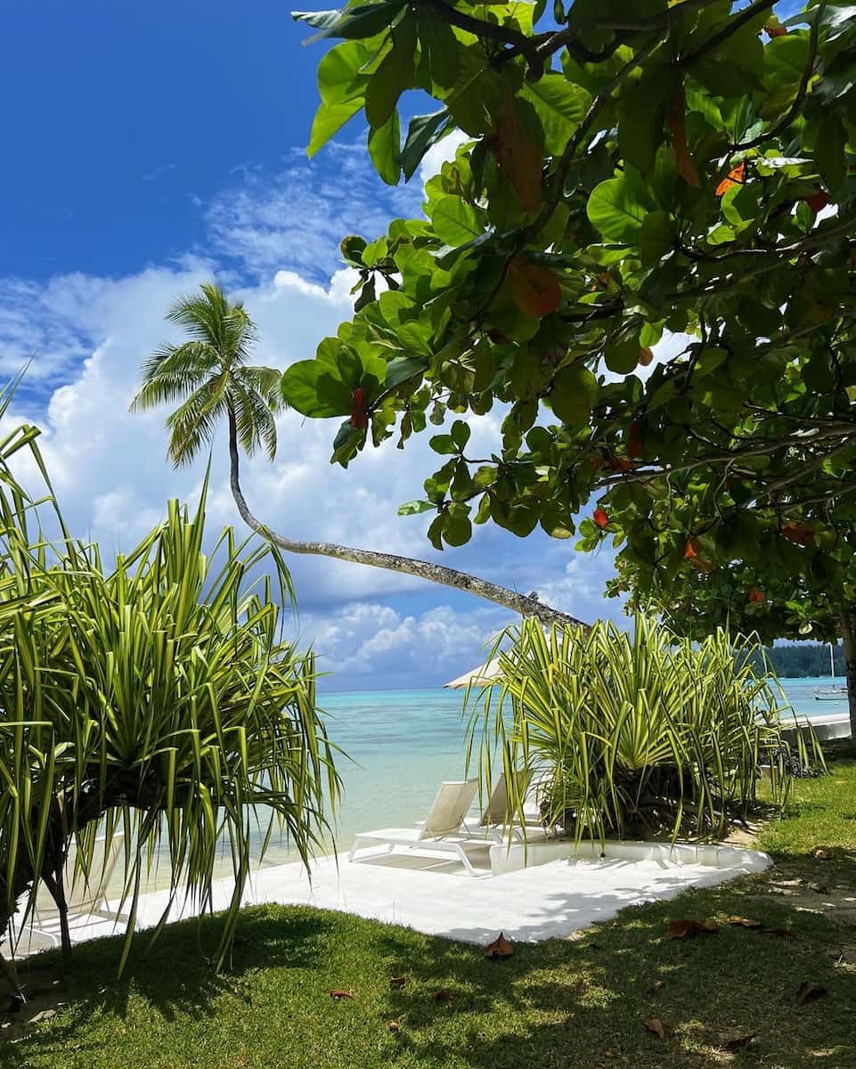 Haapiti 🏄 Haapiti 🏄