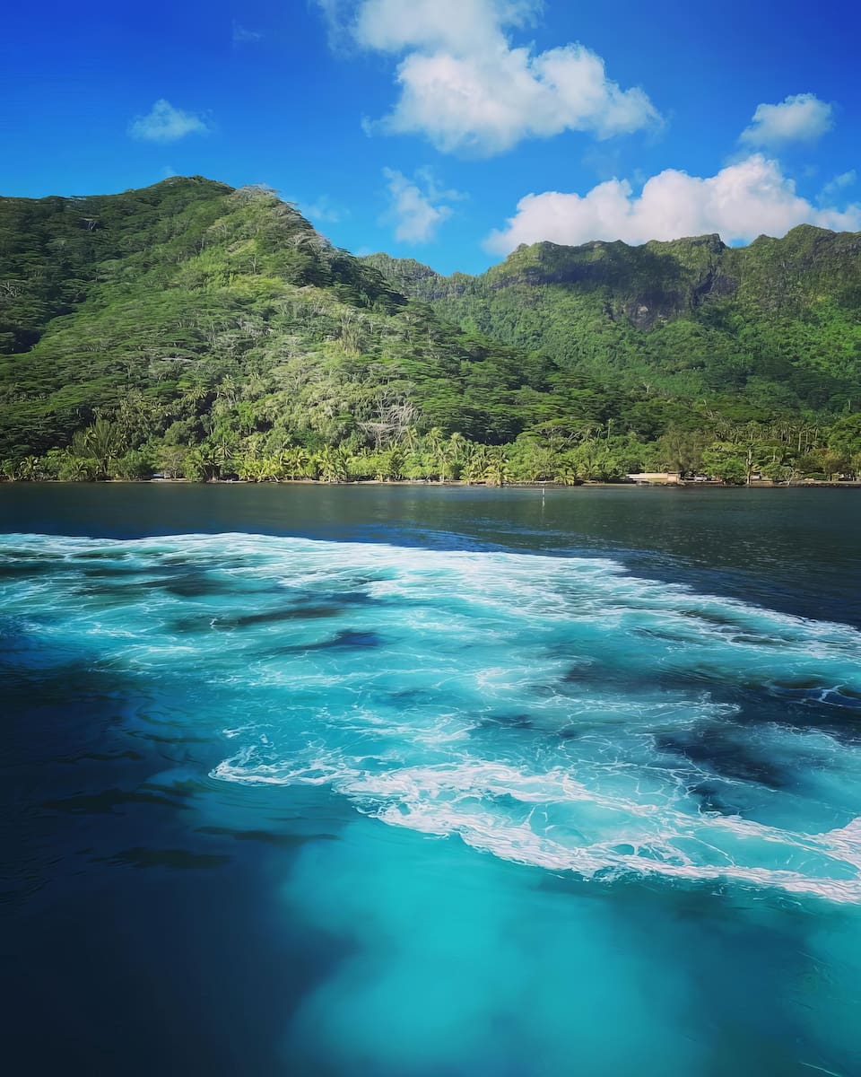 Haapiti 🏄 Haapiti 🏄