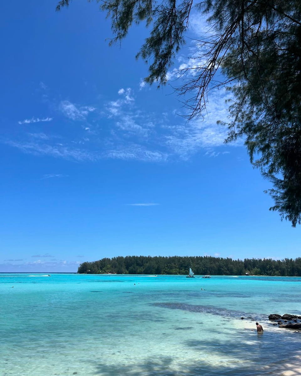 Moorea Lagoonarium Moorea Lagoonarium