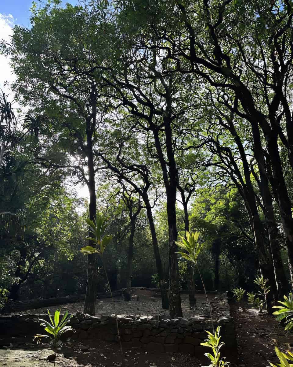 Opunohu Bay Opunohu Bay