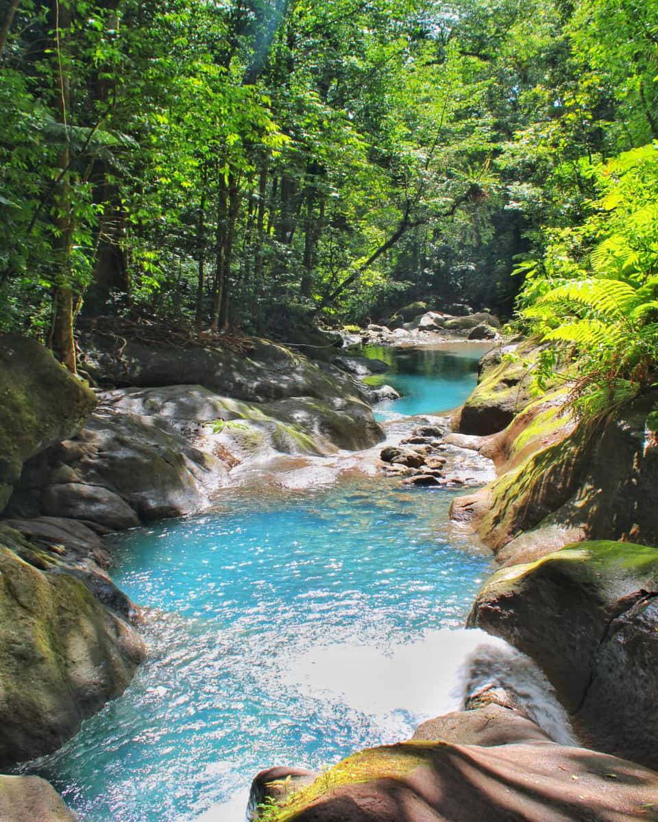 Parc national de la Guadeloupe Parc national de la Guadeloupe