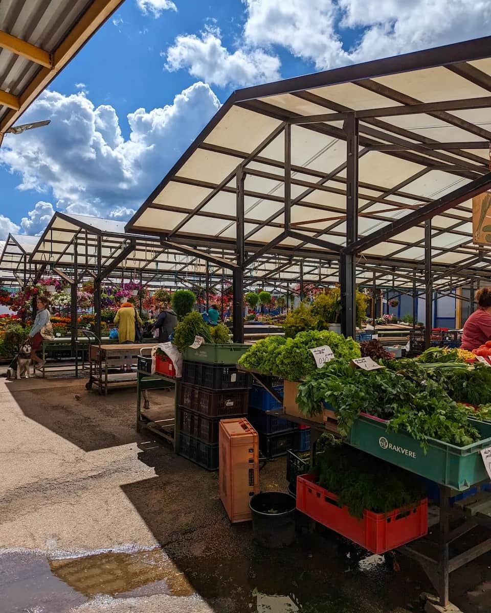 Riga Central Market Moscow District