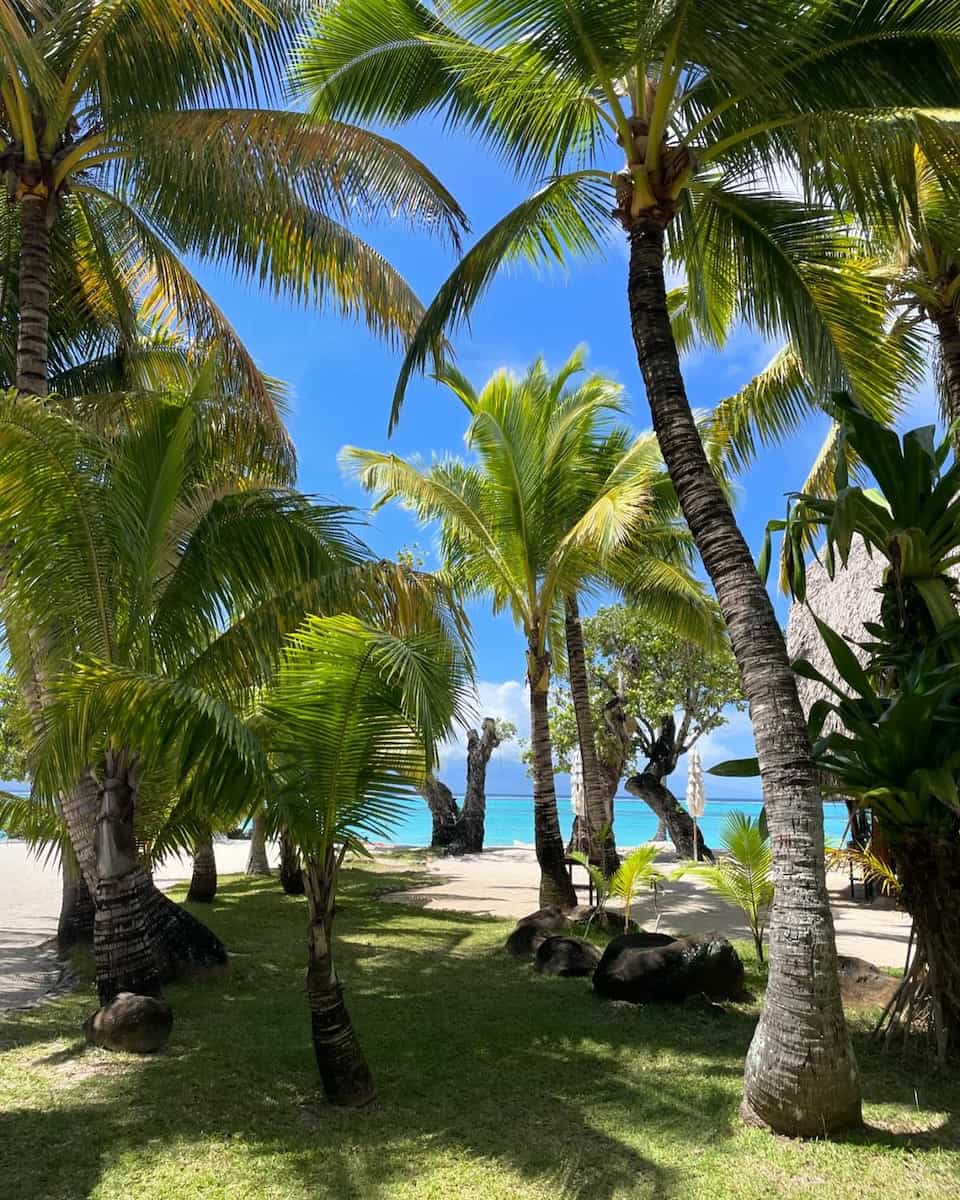 Sofitel Moorea Ia Ora Beach Resort Sofitel Moorea Ia Ora Beach Resort