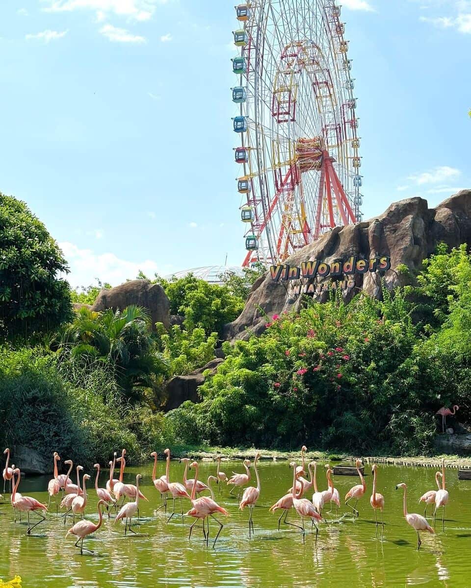 Vietnam, Nha Trang Vietnam, Nha Trang