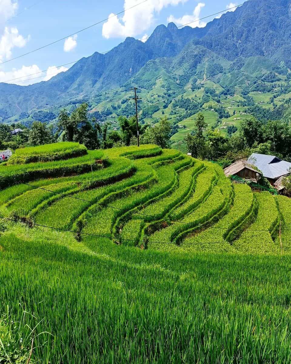 Vietnam, Sapa Vietnam, Sapa