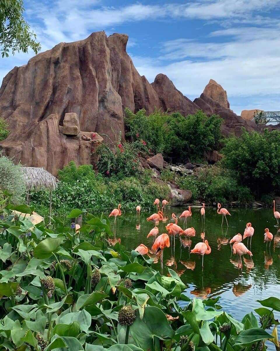 Vietnam, Vinpearl Land Vietnam, Vinpearl Land