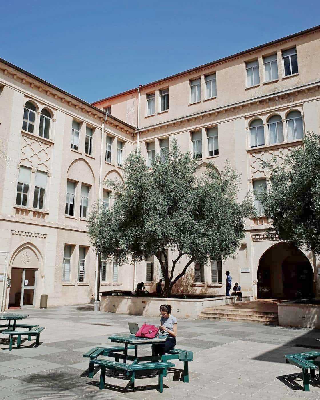 American University of Beirut American University of Beirut