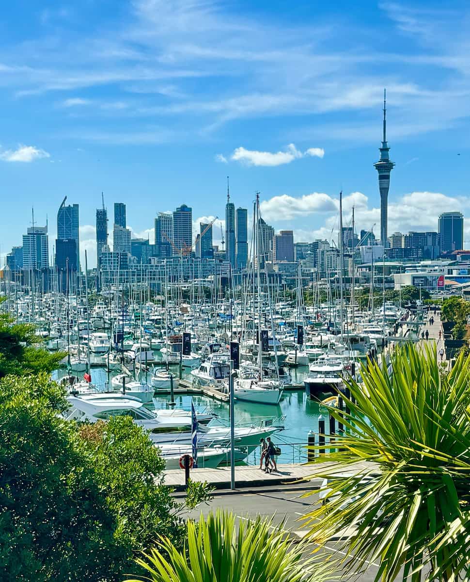 Auckland North island New Zealand Auckland North island New Zealand