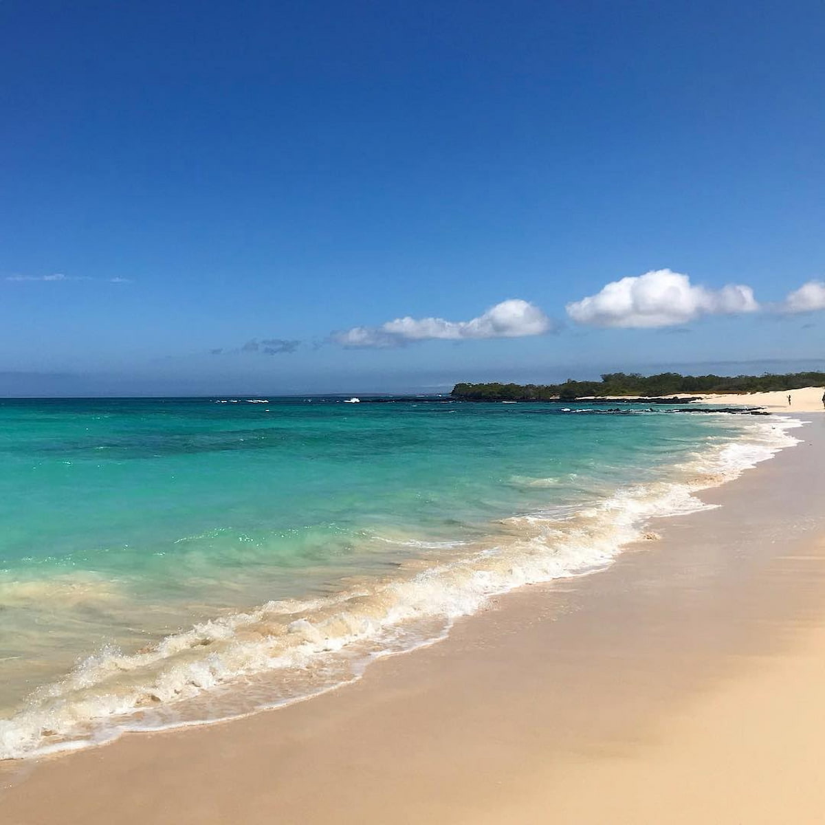 Baltra Island, Galapagos Island