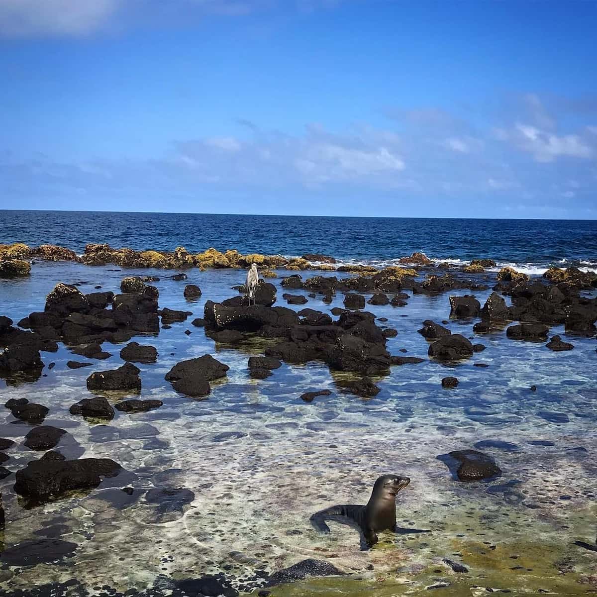 Baltra Island, Galapagos Island Baltra Island, Galapagos Island