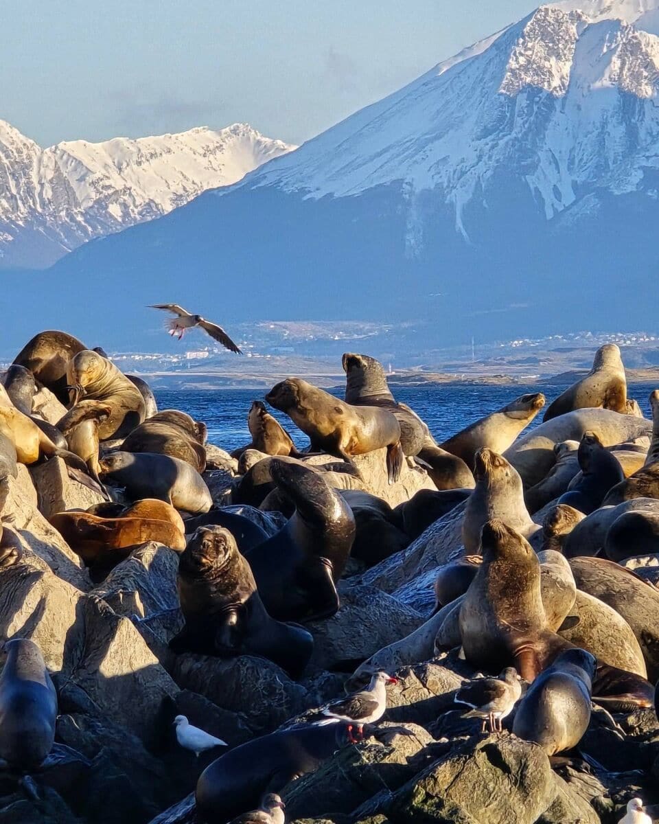 Ushuaia, Beagle Channel Ushuaia, Beagle Channel