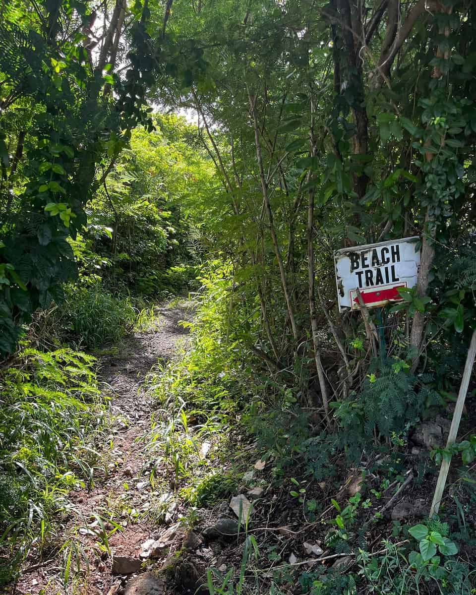 Chocolate Hole Beach Great Cruz Bay St John USA Chocolate Hole Beach Great Cruz Bay St John USA