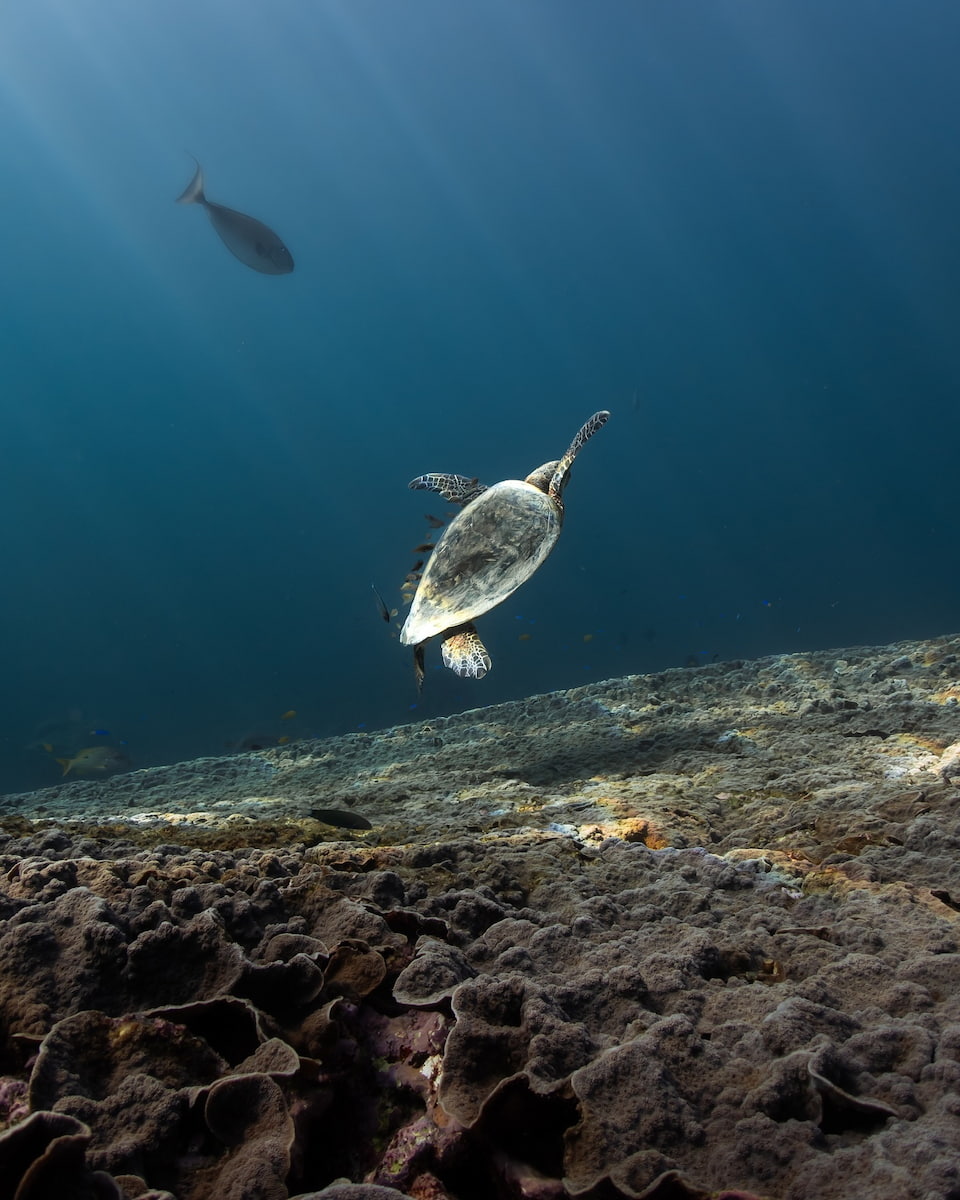 Coral Bay St John USA Coral Bay St John USA