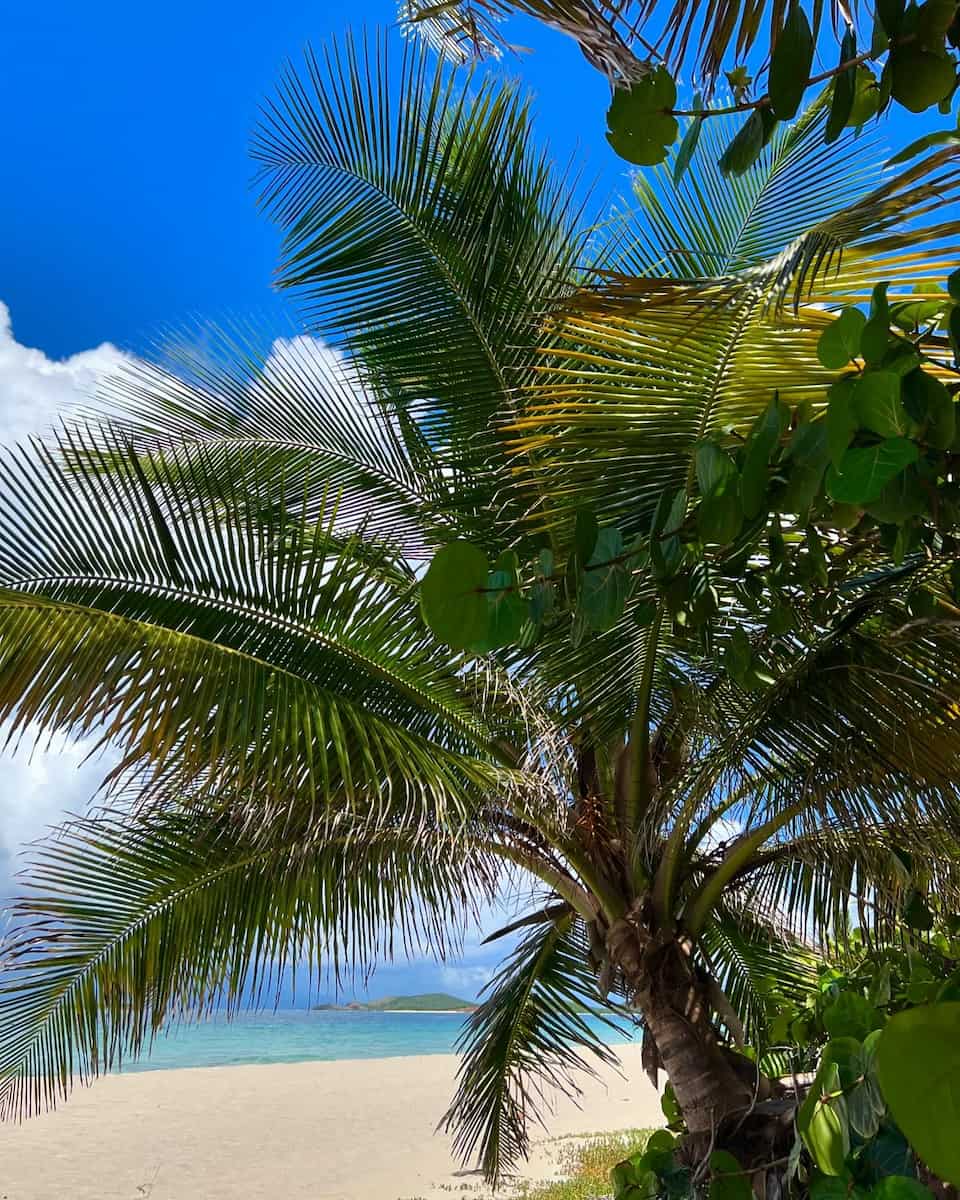 Culebra Puerto Rico Culebra Puerto Rico