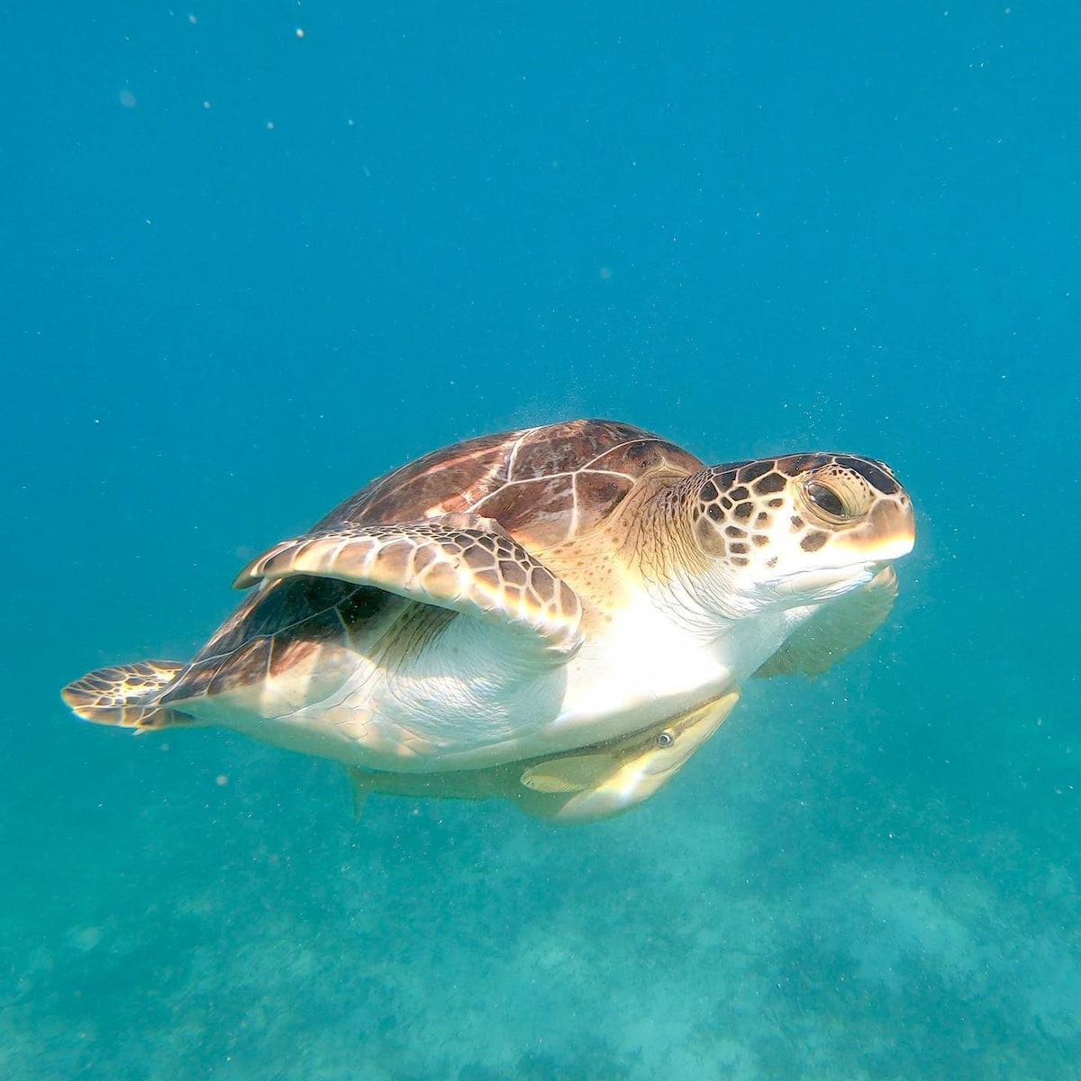 East End St John USA East End St John USA