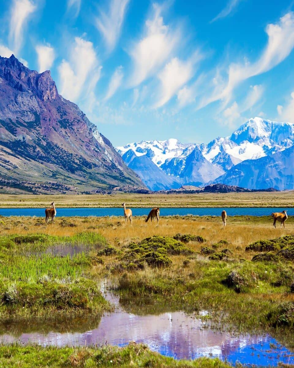 El Calafate El Calafate