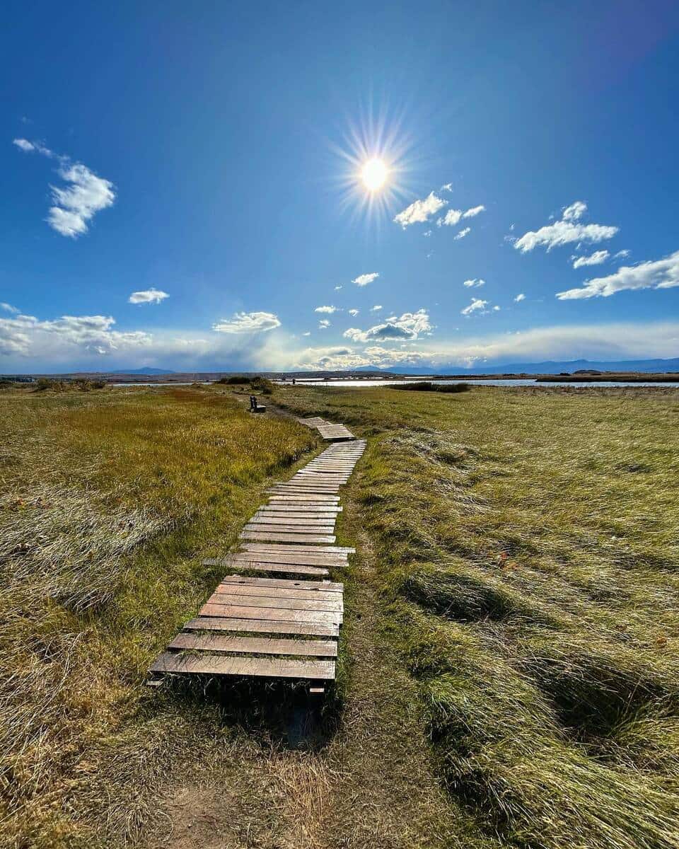 El Calafate, Laguna Nimez Reserve El Calafate, Laguna Nimez Reserve