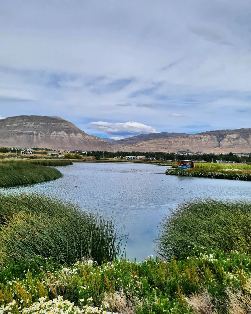 El Calafate, Laguna Nimez Reserve El Calafate, Laguna Nimez Reserve