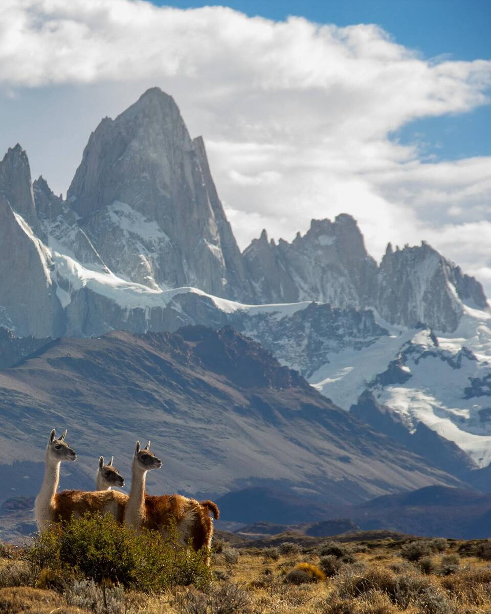 El Chaltén El Chaltén