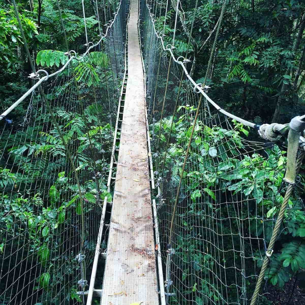 Falealupo Canopy Walkway, Samoa Falealupo Canopy Walkway, Samoa